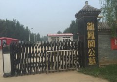 武清区龙凤园公墓"