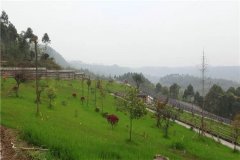 福泽绵长的安息之所：细数峨眉山市公墓的风水格局与环境优势