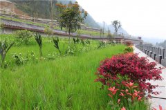 峨眉山公墓价格全解析：如何挑选合适墓地及避免费用陷阱