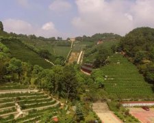 大邑县金土坡陵园"