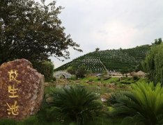 岳阳公墓价格一览，多家陵园性价比综合对比