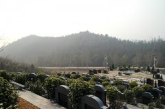 益阳公墓全指南：公益性墓位、生态葬式与惠民政策详解