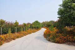 信阳市平桥区陵园-信阳平桥区有哪些公墓-平桥区墓园墓地价格