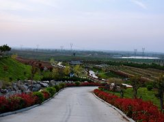 信阳市平桥区公墓陵园有哪些？信阳平桥区哪个墓园墓地风水好？