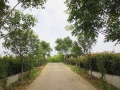 河北唐海县哪里的墓地价格便宜？唐海县公墓价格大全